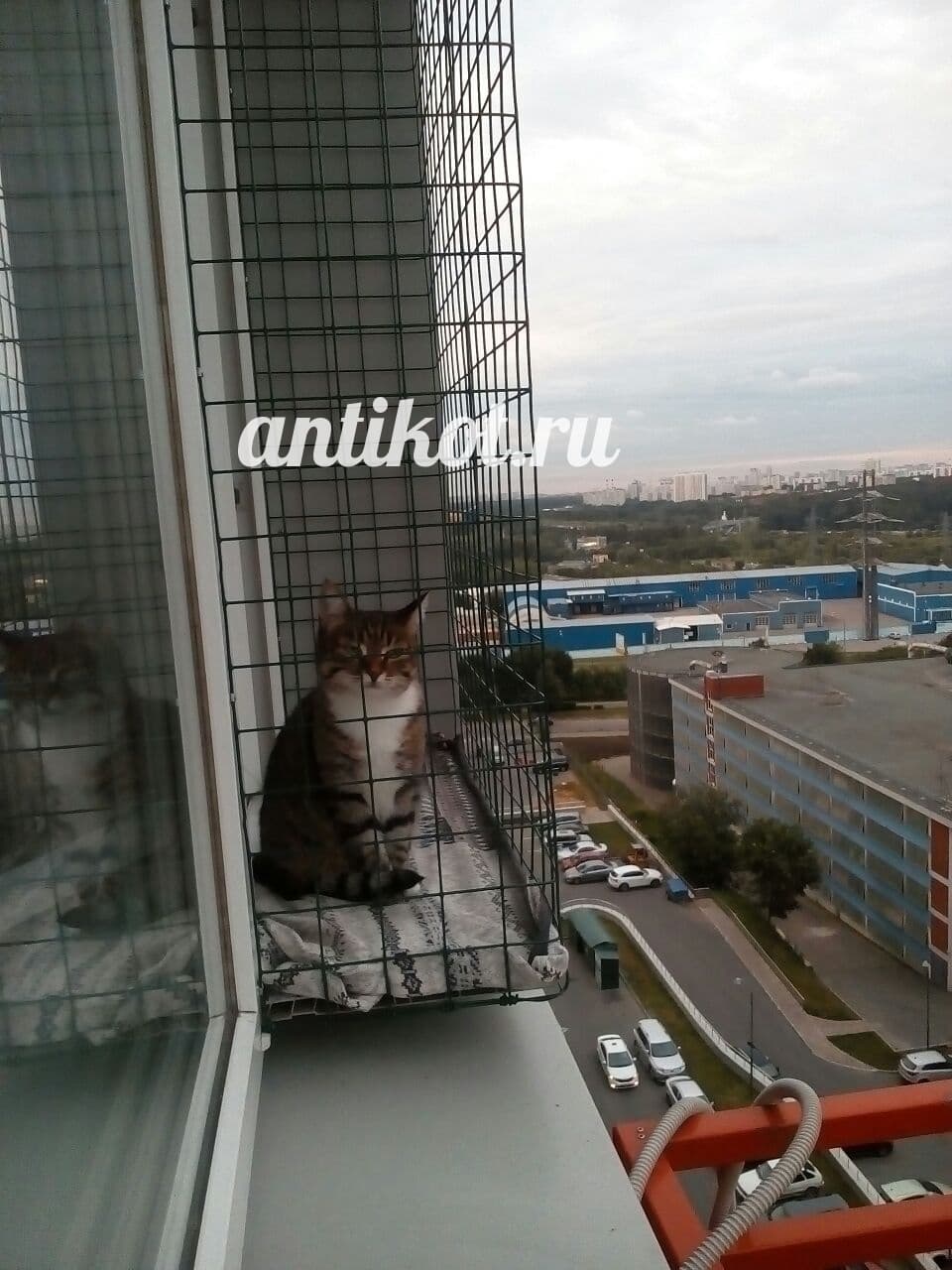 Уютное место за окном для кошки