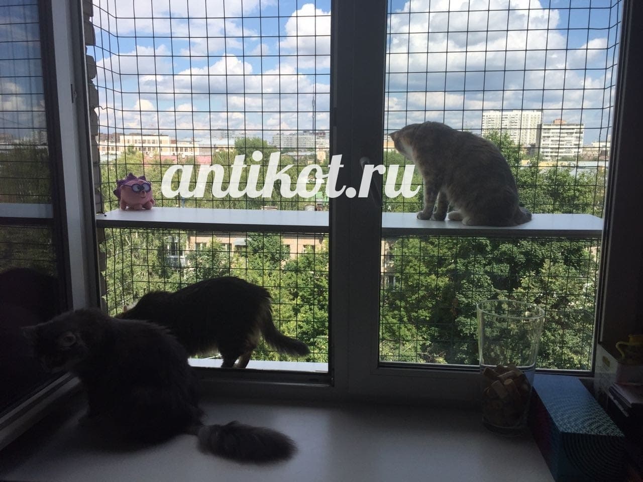 Балкончик для кошек на окно с двумя ярусами - Antikot.ru