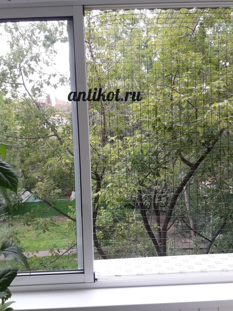 Выгул на окно для кошек - Antikot.ru