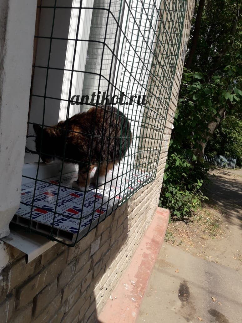 Выгул на окно для кошек (балкон) в Москве - AntiKot.ru