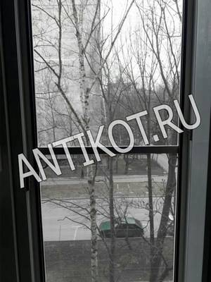 Антикошка на окна ПВХ